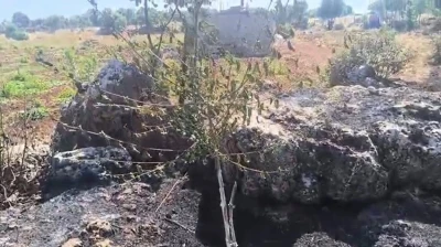 Dicle&rsquo;de &ouml;rt&uuml; yangını: Onlarca meyve ağacı alevlere teslim oldu
