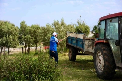 Didim Belediyesi&rsquo;nden okullarda ot bi&ccedil;me ve &ccedil;evre d&uuml;zenleme &ccedil;alışması
