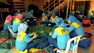 Didim Belediyesi&rsquo;nin doğal &uuml;r&uuml;nleri halkla buluşuyor
