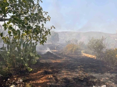 Didim’de makilik ve zeytinlik yangını korkuttu
