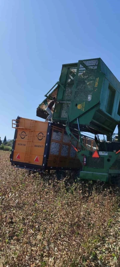 Didim’de pamuk hasat makinelerine denetim
