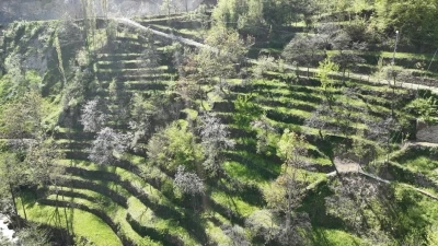 Dik yama&ccedil;ta 60 yıllık emek, taş duvarlarla kurulan miras
