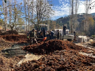 Dikenlerinden kurtulan kestanelerin sofralara yolculuğu başladı
