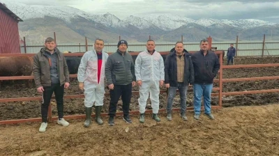 Dinar&rsquo;da ithal hayvan besiciliği yapılan işletmelere y&ouml;nelik denetim
