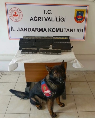 Diyadin&rsquo;de 180 paket ka&ccedil;ak sigara yakalandı
