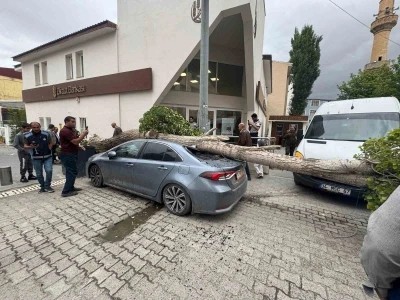 Diyadin’de ağaç devrildi araç hasar gördü
