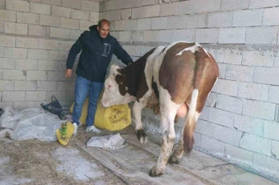 Diyadin&rsquo;de besicilik ge&ccedil;im kapısı oldu
