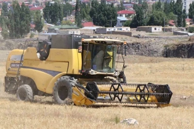 Diyadin’de hasat mevsimi başladı
