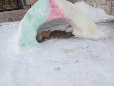 Diyadin&rsquo;de hayvanlara kardan barınak
