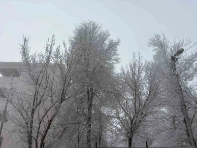 Diyadin&rsquo;de yoğun sis etkili oldu
