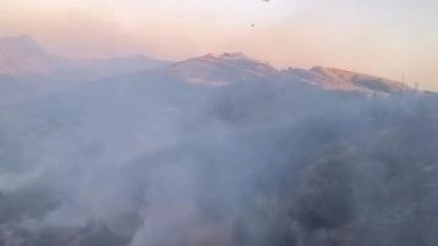 Diyarbakır - Bingöl sınırında orman yangını