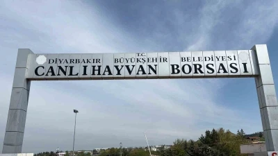 Diyarbakır Canlı Hayvan Borsası tadilata alındı
