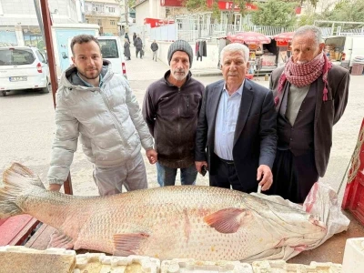 Diyarbakır&rsquo;da 120 kiloluk turna balığı g&ouml;renleri hayrete d&uuml;ş&uuml;rd&uuml;
