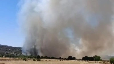 Diyarbakır'da 4 noktada aynı anda yangın!