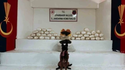 Diyarbakır’da 470 kilo skunk ve 85 kilo esrar ele geçirildi
