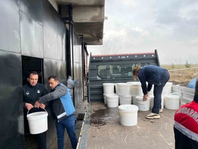 Diyarbakır&rsquo;da 5 işletmede ele ge&ccedil;irilen 460 kilogram peynir imha edildi
