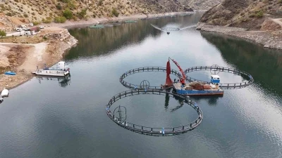 Diyarbakır’da 500 ton kapasiteli tesisten dünyaya &quot;Mezopotamya somonu&quot; gönderilecek
