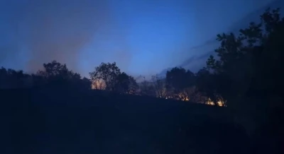 Diyarbakır’da ağaçlık alanda korkutan yangın: Alevlerin yaklaştığı ev tahliye edildi
