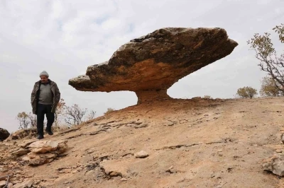 Diyarbakır&rsquo;da buzul &ccedil;ağ kalıntısı: Tam 6 milyon yıl &ouml;nceye ait
