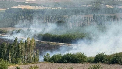 Diyarbakır’da Hevsel Bahçelerindeki mısır tarlasında anız yangını
