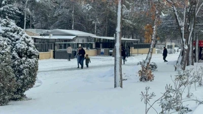 Diyarbakır&rsquo;da kar yağışı &ccedil;ileye d&ouml;n&uuml;şt&uuml;
