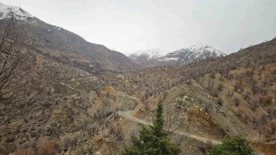 Diyarbakır&rsquo;da kayıp yaşlı adam 11 g&uuml;nd&uuml;r aranıyor
