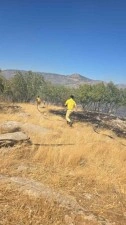Diyarbakır’da orman ve örtü yangını