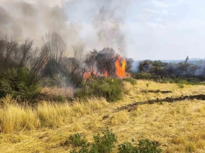 Diyarbakır’da ormanlık alana sıçrayan örtü yangını söndürüldü
