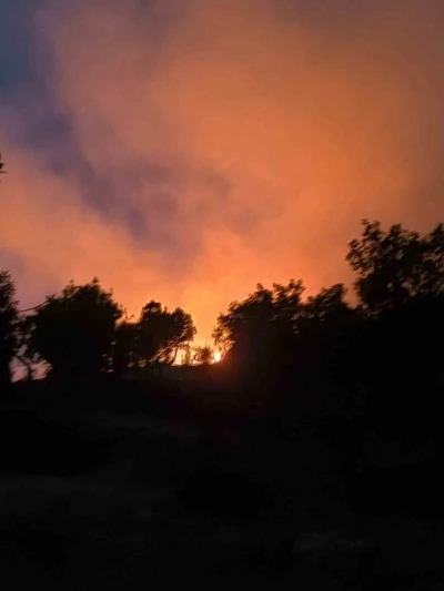 Diyarbakır’da ormanlık alanda çıkan yangın söndürüldü
