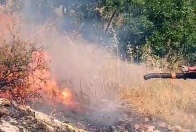 Diyarbakır&rsquo;da &ouml;rt&uuml; ve orman yangını
