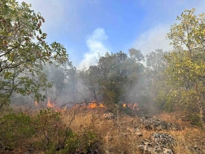 Diyarbakır’da örtü yangını 7 saat sonra helikopter desteğiyle söndürüldü
