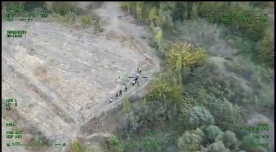 Diyarbakır’da piyasa değeri 1 milyar lira olan 12 bin 865 kök kenevir ele geçirildi