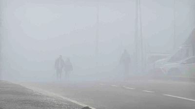 Diyarbakır&rsquo;da sis g&ouml;r&uuml;ş mesafesini 20 metreye kadar d&uuml;ş&uuml;rd&uuml;
