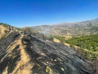Diyarbakır’da üç farklı noktada çıkan yangınlar kontrol altına alındı
