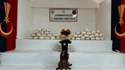 Diyarbakır'da uyuşturucu operasyonu: 25 şüpheli yakalandı