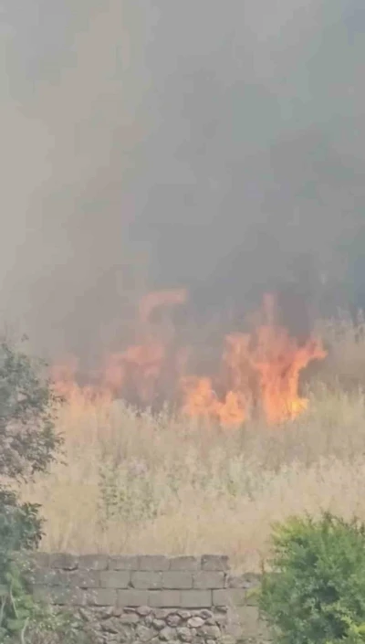 Diyarbakır&rsquo;da yerleşim alanında &ccedil;ıkan yangın paniğe neden oldu
