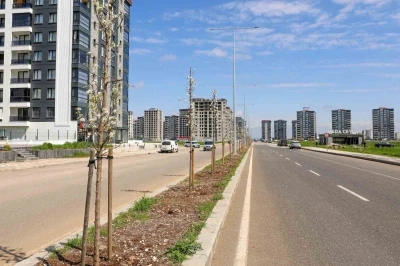 Diyarbakır&rsquo;da yeşil d&ouml;n&uuml;ş&uuml;m: 5 bin ağa&ccedil; dikildi
