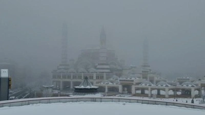 Diyarbakır'da yoğun sis: U&ccedil;ak seferleri iptal edildi