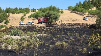 Diyarbakır&rsquo;da y&uuml;ksek gerilim hattına &ccedil;arpan kuş yangına neden oldu
