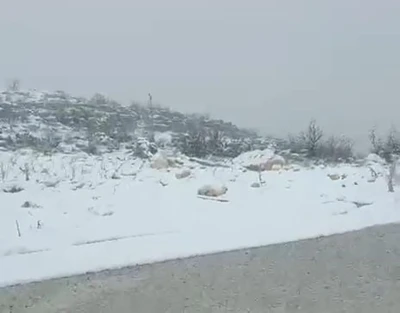 Diyarbakır&rsquo;ın iki il&ccedil;esinde kar yağışı
