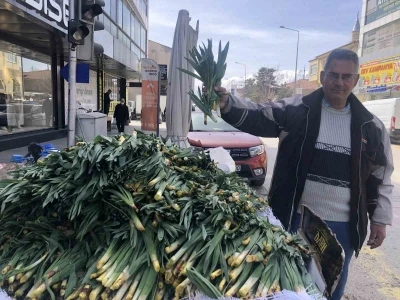 Doğal antibiyotik &ccedil;iriş otu Erzincan tezgahlarında yerini aldı

