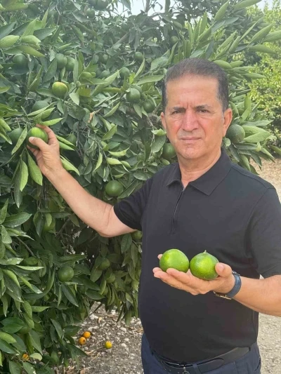 Doğan &quot;Turunçgil kesim ve ihraç tarihlerinde sahadaki gerçek üretim şartları dikkate alınmalıdır’’
