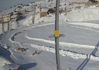 Doğanın kanunu g&ouml;zler &ouml;n&uuml;ne serildi, vaşağın tavşan avı anbean kaydedildi
