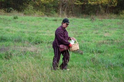Doğaseverler Ormanya’nın zengin biyolojik çeşitliliğini keşfetti
