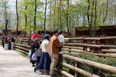 Doğaseverlerin uğrak noktası Ormanya bahara "merhaba" dedi
