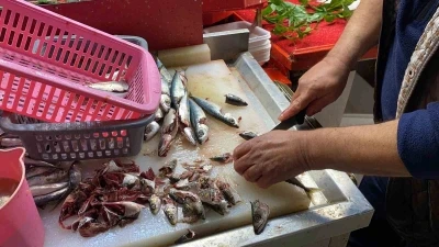 Doğru bilinen yanlışı uzmanı a&ccedil;ıkladı: "G&ouml;z&uuml;ne bakıp tazeliğini anlarım diyen yalan s&ouml;yler"
