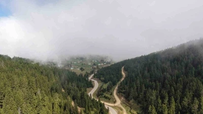 Doğu Karadeniz Bölgesinde heyelan alarmı
