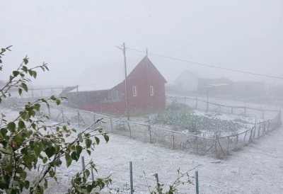 Doğu Karadeniz’in sahili ve iç kesimlerindeki şiddetli yağış yerini zirvelerde kara bıraktı
