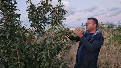 Doğu’nun soğuğunda sıcak iklim meyveleri yetiştirdi
