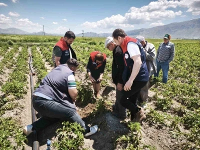 Dolu yağışı tarım alanlarına zarar verdi
